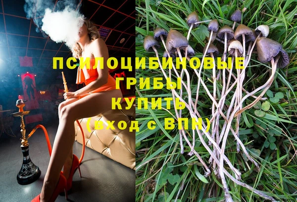 ешки Навашино