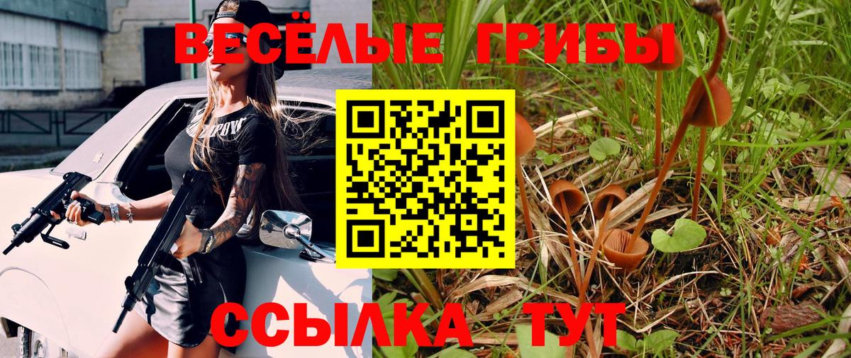 Псилоцибиновые грибы мицелий  Псилоцибиновые грибы GOLDEN TEACHER  Шали  Вход с VPN 
